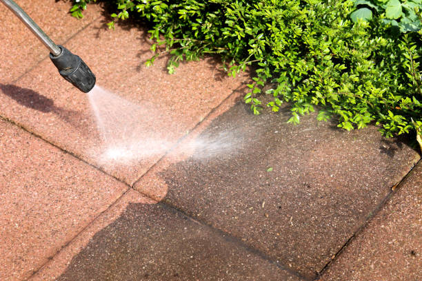 Deck Cleaning Services in Hertford, NC